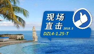 現(xiàn)場(chǎng)直擊丨看生物質(zhì)鍋爐在巴厘島如何強(qiáng)操作，回頭客非它不選